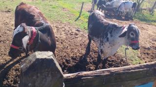 WhatsApp Image 2025-09-11 at 14.56.02