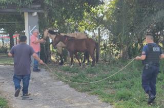 WhatsApp Image 2025-06-13 at 16.59.05