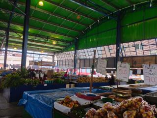 WhatsApp Image 2025-09-16 at 15.55.29