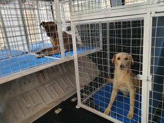 WhatsApp Image 2021-09-20 at 16.49.46