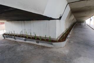 WhatsApp Image 2025-06-24 at 17.01.42