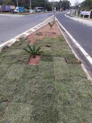 WhatsApp Image 2025-06-04 at 16.11.33