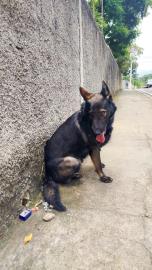 WhatsApp Image 2026-02-09 at 11.52.24