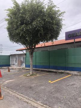 WhatsApp Image 2026-02-11 at 16.51.38