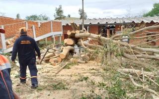 WhatsApp Image 2024-06-10 at 19.12.44