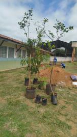 WhatsApp Image 2025-11-13 at 16.36.37