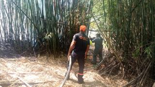 WhatsApp Image 2025-09-18 at 11.22.33