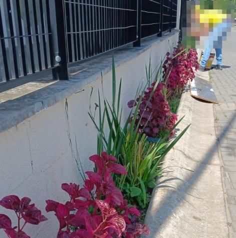 WhatsApp Image 2025-10-21 at 17.08.00