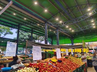 WhatsApp Image 2025-09-24 at 17.07.40