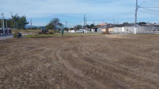 WhatsApp Image 2025-05-27 at 16.41.36