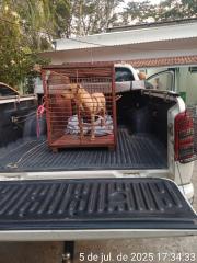 WhatsApp Image 2025-07-07 at 13.22.20 (1)