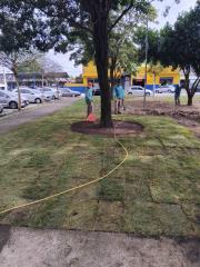 WhatsApp Image 2025-06-10 at 17.09.18