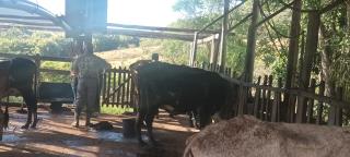 WhatsApp Image 2025-09-10 at 15.32.38