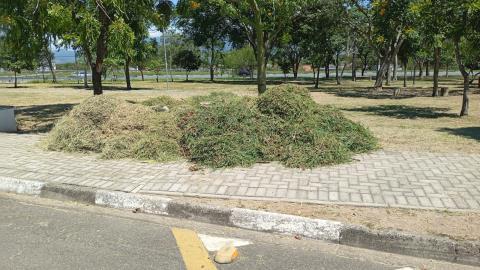 WhatsApp Image 2026-01-13 at 15.45.41