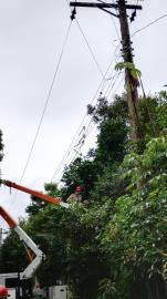 WhatsApp Image 2026-03-17 at 14.55.04