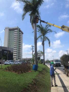 WhatsApp Image 2025-11-18 at 15.02.02