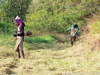 WhatsApp Image 2025-07-24 at 17.07.15