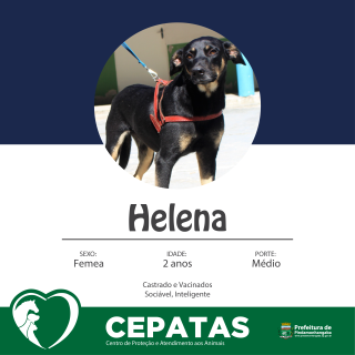 Helena-01