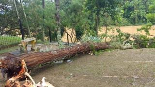 WhatsApp Image 2023-02-10 at 17.07.57 (2)