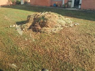 WhatsApp Image 2025-05-20 at 17.32.22