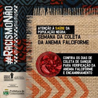 WhatsApp Image 2023-07-12 at 11.08.45