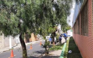 WhatsApp Image 2025-09-02 at 12.16.11