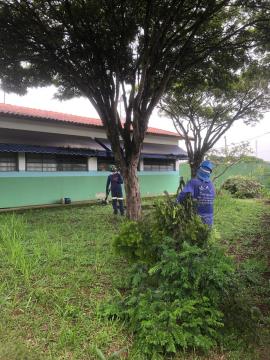 WhatsApp Image 2026-02-11 at 16.51.37