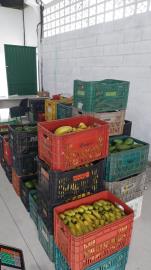 WhatsApp Image 2026-03-12 at 15.34.25