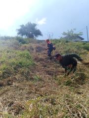 WhatsApp Image 2025-09-18 at 11.22.31