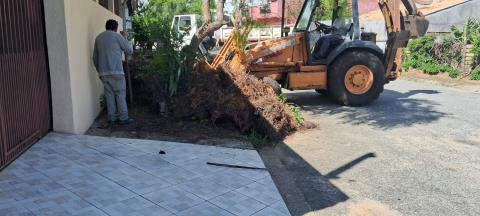 WhatsApp Image 2026-01-21 at 17.53.26