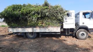 WhatsApp Image 2025-07-23 at 16.00.44