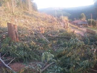Defesa Civil realiza trabalho 
