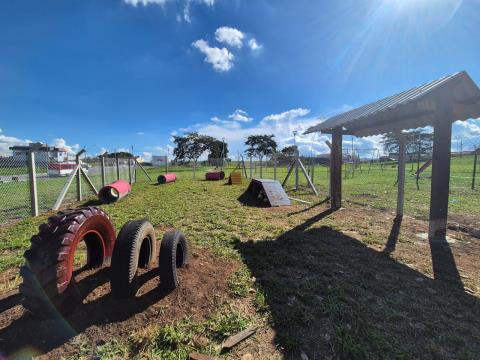 WhatsApp Image 2026-03-26 at 17.16.31