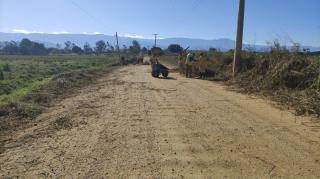 WhatsApp Image 2025-07-02 at 17.05.30 (1)