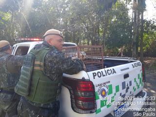 WhatsApp Image 2025-07-07 at 13.22.20