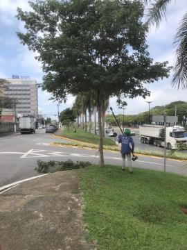 WhatsApp Image 2025-11-18 at 15.02.01