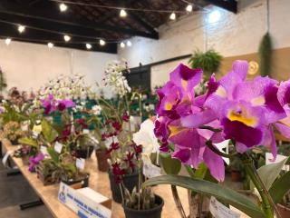 WhatsApp Image 2025-07-14 at 16.40.23 (1)