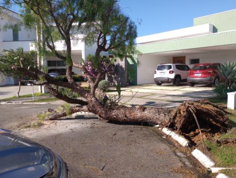 WhatsApp Image 2025-12-29 at 16.00.49