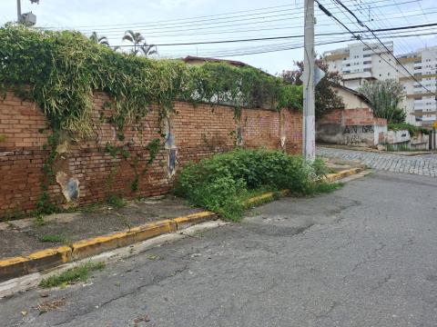 WhatsApp Image 2026-04-01 at 15.47.52