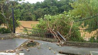 WhatsApp Image 2023-02-10 at 17.07.57 (1)