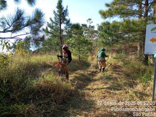 WhatsApp Image 2025-07-24 at 17.07.12