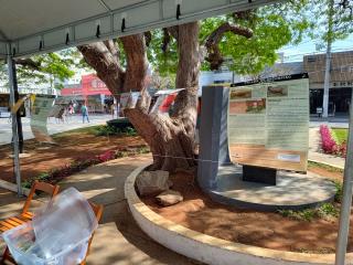 WhatsApp Image 2025-08-26 at 14.44.46