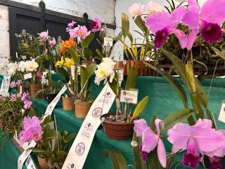 WhatsApp Image 2025-07-14 at 16.40.23