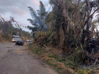 WhatsApp Image 2025-08-18 at 15.44.23