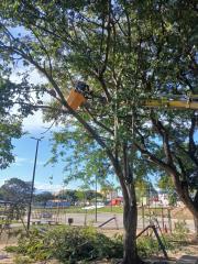 WhatsApp Image 2025-05-28 at 15.57.33