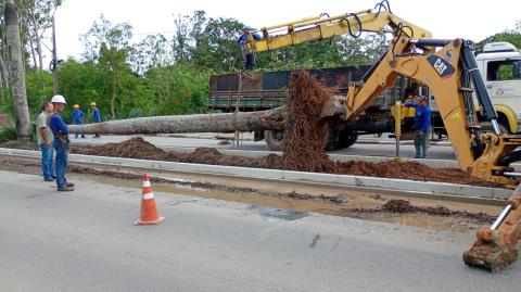 WhatsApp Image 2026-03-17 at 14.38.23 (1)