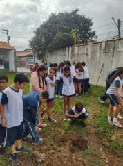 WhatsApp Image 2025-06-09 at 16.31.21