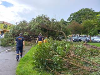 WhatsApp Image 2023-02-10 at 17.07.57