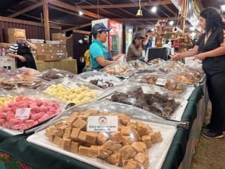 WhatsApp Image 2025-07-14 at 17.07.26 (1)