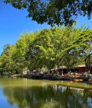 WhatsApp Image 2026-02-04 at 14.40.55 (1)